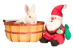 photos_santa pix.jpg